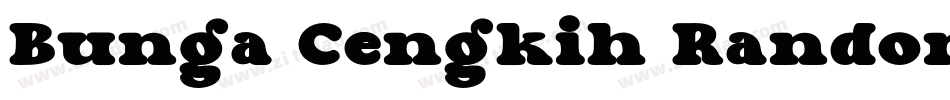 Bunga Cengkih Random字体转换